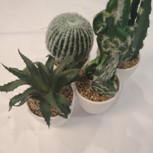 Plante decorative tip cactus– ghiveci ceramic alb